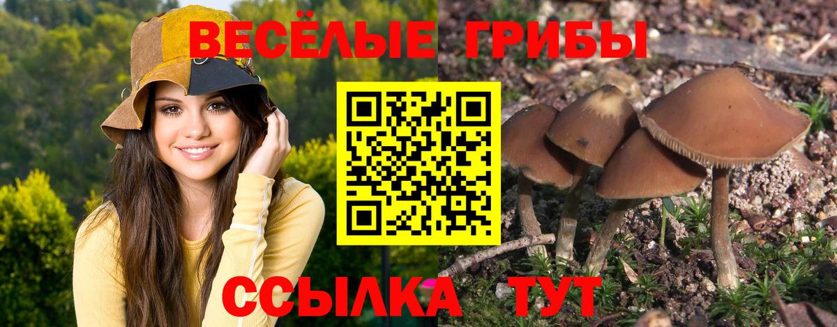 Сургут  Галлюциногенные грибы Cubensis  Вход с VPN  Псилоцибиновые грибы ЛСД 
